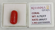 6.75/CT Natural Red Coral With Govt. Lab Certificate-12377D50205